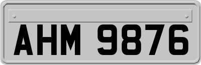 AHM9876