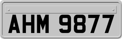 AHM9877