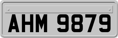 AHM9879