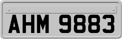 AHM9883