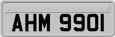 AHM9901