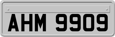 AHM9909