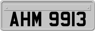 AHM9913