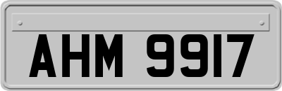 AHM9917