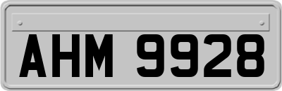 AHM9928