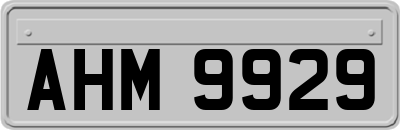 AHM9929