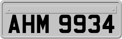 AHM9934