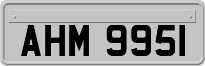 AHM9951