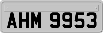 AHM9953