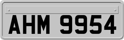 AHM9954