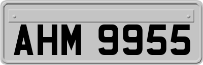 AHM9955