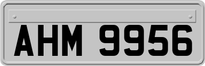 AHM9956