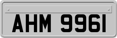 AHM9961