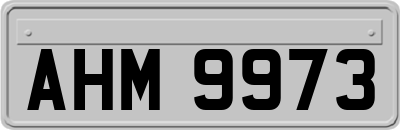 AHM9973