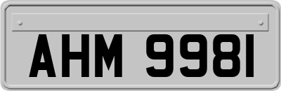 AHM9981