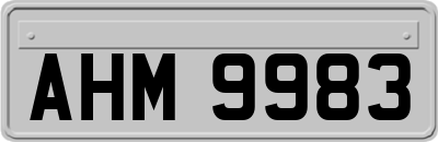 AHM9983