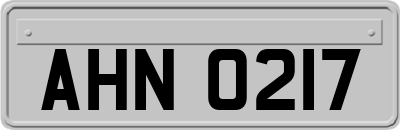 AHN0217