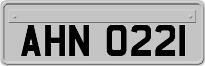 AHN0221