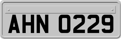 AHN0229