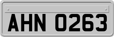 AHN0263