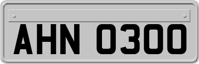AHN0300