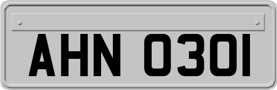 AHN0301
