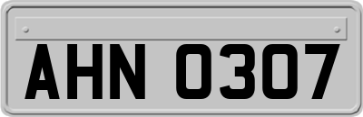 AHN0307