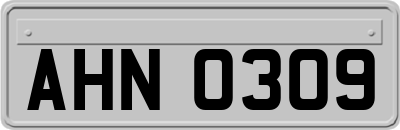 AHN0309