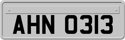AHN0313
