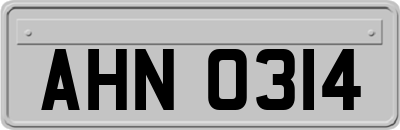 AHN0314