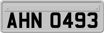 AHN0493
