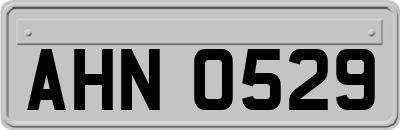 AHN0529