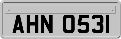 AHN0531