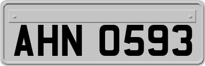 AHN0593