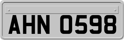 AHN0598
