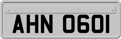 AHN0601