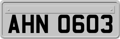 AHN0603