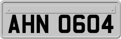 AHN0604