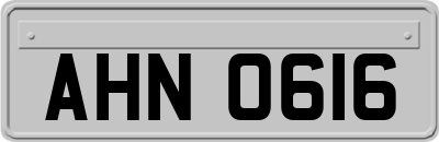 AHN0616