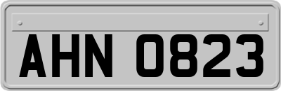 AHN0823