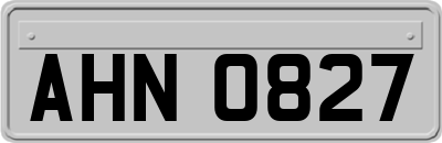 AHN0827