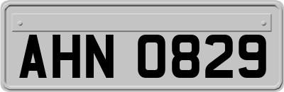 AHN0829