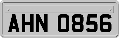 AHN0856