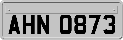 AHN0873