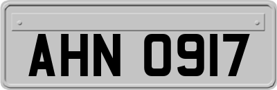 AHN0917