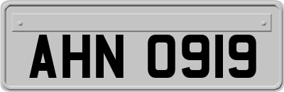AHN0919