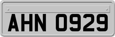 AHN0929