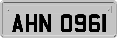AHN0961
