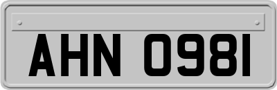 AHN0981
