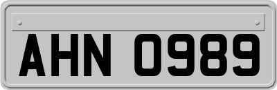 AHN0989
